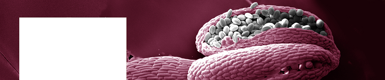Structure of Biosystems and Molecular Materials - Radek Marek