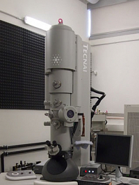 Transmission electron microscope Talos F200C