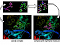 New Software for Drug Design was a Success in an International Competition