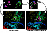 New Software for Drug Design was a Success in an International Competition