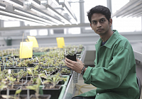 Scientists’ appeal: Enable gene modification in Crops