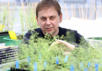 Scientists From CEITEC Revealed New Secrets of Gene Regulation in Plants