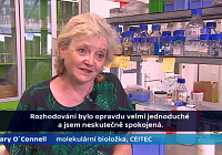 People Are the Most Valuable Resources at CEITEC. Find out More About Mary O'Connell´s and Zdenek Farka´s Research