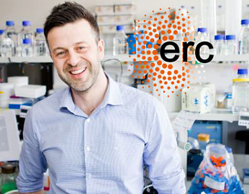 H2020 ERC: DECOR (doc. Mgr. Richard Štefl, Ph.D.)