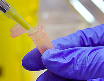 CONTACT CEITEC Veterinary and Pharmaceutical University Brno