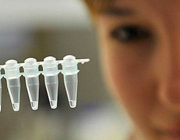 CONTACT  Veterinary Research Institute