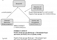 figure4.PNG