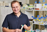 The Weakness of Tumour Cells Could Be Protein CDK11