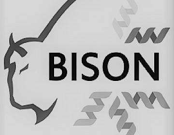 BISON (Prof. Jaroslav Koča)