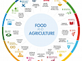 Agriculture and Food Production Must Become More Sustainable