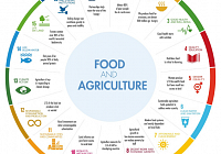 Agriculture and Food Production Must Become More Sustainable