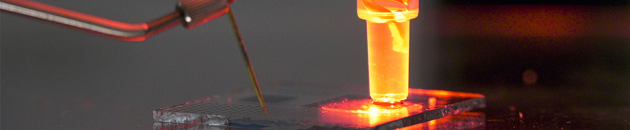 Bioelectronics Materials and Devices - Eric D. Glowacki