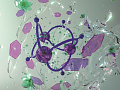 Scientists Designed New Supramolecular Materials Inspired by Processes Found in Nature