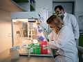Rychlejší než PCR a přesnější než antigenní. Brněnští vědci vyvinuli LAMP test a jednají s výrobci