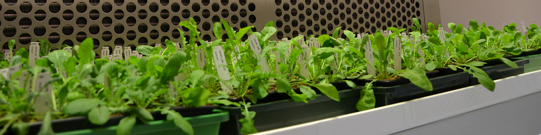 CF: Plant Sciences Core Facility