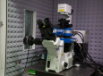 Combined AFM / inverted optical microscope