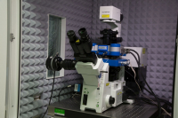 Combined AFM / inverted optical microscope
