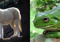 CEITEC Adopts Animals at Brno ZOO as Part of Celebrations