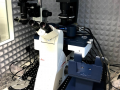 CF Nanobiotechnology has a new atomic force microscope
