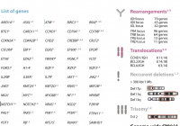 New versatile genetic test for lymphoid neoplasms supports personalized management of patients and further research