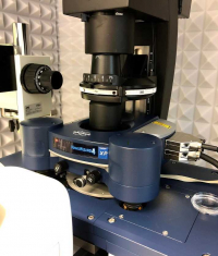 AFM NanoWizard® 4XP combined with a fluorescence microscope