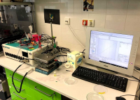 Electrochemical analyzer