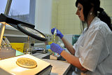 Molecular Veterinary Medicine